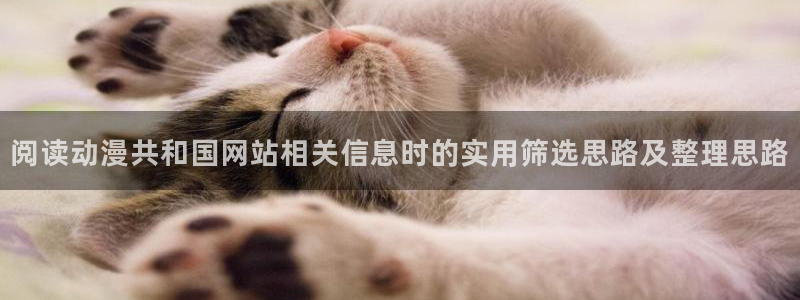 动漫在线免费看