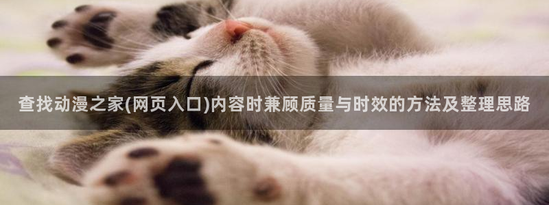 对魔忍浅葱动漫:查找动漫之家(网页入口)内容时兼顾质量与时效的方法及整理思路