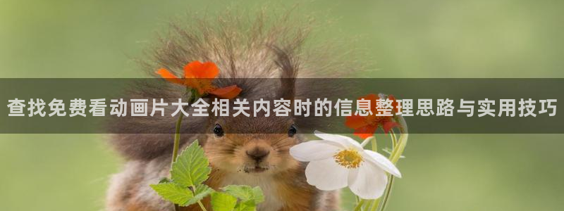 动漫之家社区:查找免费看动画片大全相关内容时的信息整理思路与实用技巧