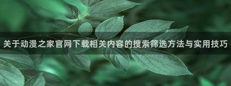 熊出没动画片全集免费观看完整版