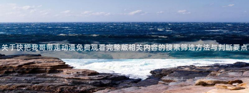 王者同人动漫