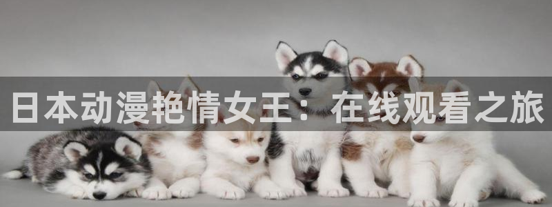 双男主动漫无删减：日本动漫艳情女王：在线观看之旅