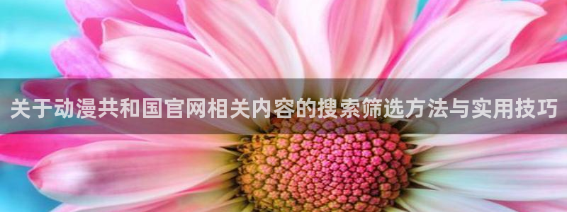 动漫之岛：关于动漫共和国官网相关内容的搜索筛选方法与实用技巧